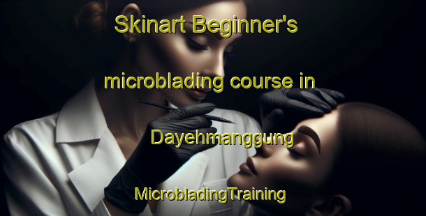 Skinart Beginner's microblading course in Dayehmanggung | #MicrobladingTraining #MicrobladingClasses #SkinartTraining-Indonesia