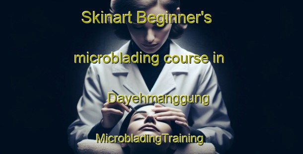 Skinart Beginner's microblading course in Dayehmanggung | #MicrobladingTraining #MicrobladingClasses #SkinartTraining-Indonesia