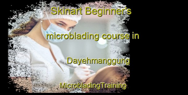 Skinart Beginner's microblading course in Dayehmanggung | #MicrobladingTraining #MicrobladingClasses #SkinartTraining-Indonesia