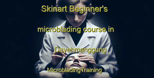 Skinart Beginner's microblading course in Dayehmanggung | MicrobladingTraining | MicrobladingClasses | SkinartTraining-Indonesia