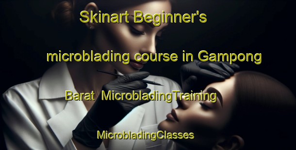 Skinart Beginner's microblading course in Gampong Barat | MicrobladingTraining | MicrobladingClasses | SkinartTraining-Indonesia