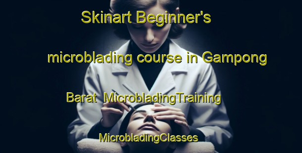Skinart Beginner's microblading course in Gampong Barat | MicrobladingTraining | MicrobladingClasses | SkinartTraining-Indonesia