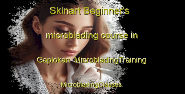 Skinart Beginner's microblading course in Gaplokan | MicrobladingTraining | MicrobladingClasses | SkinartTraining-Indonesia