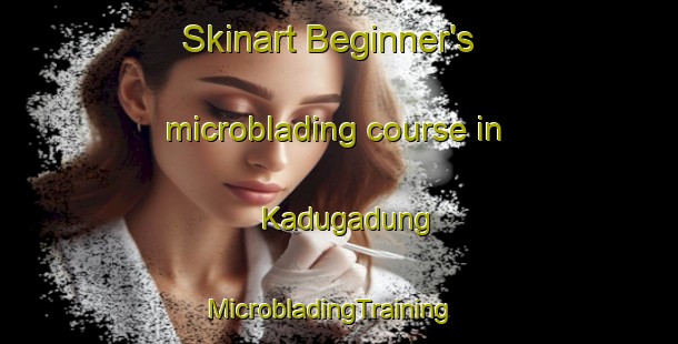 Skinart Beginner's microblading course in Kadugadung | MicrobladingTraining | MicrobladingClasses | SkinartTraining-Indonesia