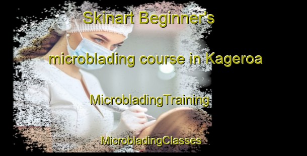 Skinart Beginner's microblading course in Kageroa | MicrobladingTraining | MicrobladingClasses | SkinartTraining-Indonesia