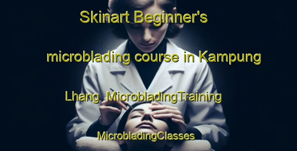 Skinart Beginner's microblading course in Kampung Lhang | MicrobladingTraining | MicrobladingClasses | SkinartTraining-Indonesia