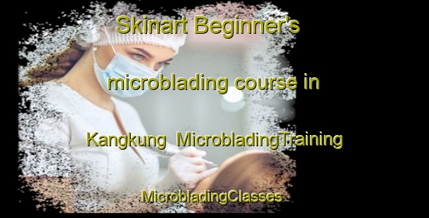 Skinart Beginner's microblading course in Kangkung | MicrobladingTraining | MicrobladingClasses | SkinartTraining-Indonesia
