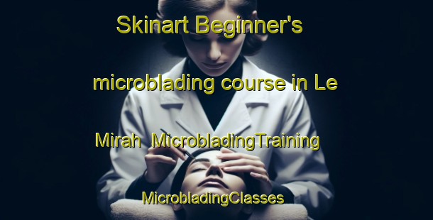 Skinart Beginner's microblading course in Le Mirah | MicrobladingTraining | MicrobladingClasses | SkinartTraining-Indonesia