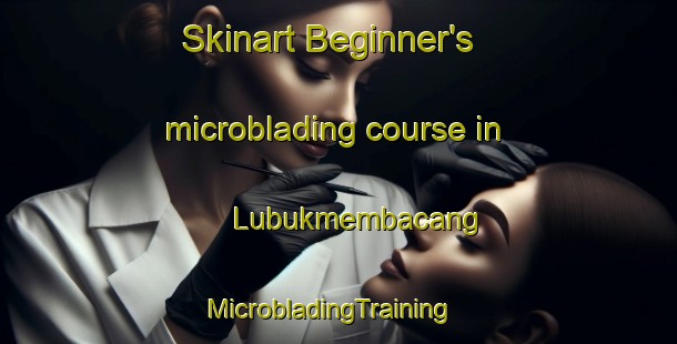Skinart Beginner's microblading course in Lubukmembacang | MicrobladingTraining | MicrobladingClasses | SkinartTraining-Indonesia