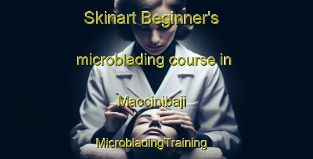 Skinart Beginner's microblading course in Maccinibaji | MicrobladingTraining | MicrobladingClasses | SkinartTraining-Indonesia