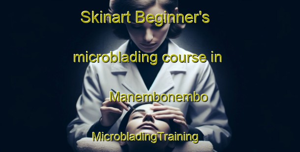 Skinart Beginner's microblading course in Manembonembo | MicrobladingTraining | MicrobladingClasses | SkinartTraining-Indonesia