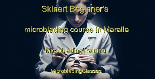 Skinart Beginner's microblading course in Maralle | MicrobladingTraining | MicrobladingClasses | SkinartTraining-Indonesia