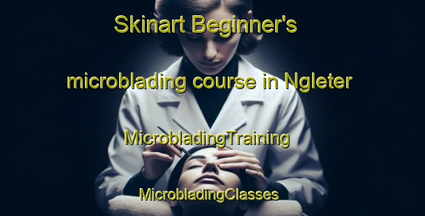 Skinart Beginner's microblading course in Ngleter | MicrobladingTraining | MicrobladingClasses | SkinartTraining-Indonesia