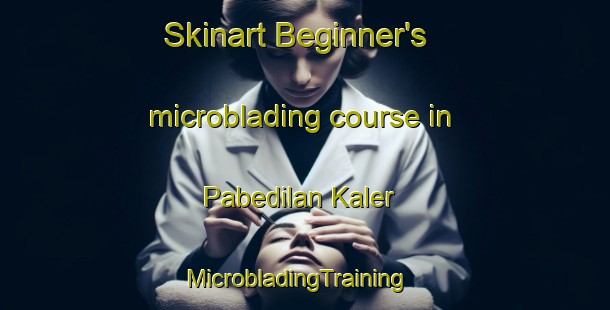 Skinart Beginner's microblading course in Pabedilan Kaler | MicrobladingTraining | MicrobladingClasses | SkinartTraining-Indonesia