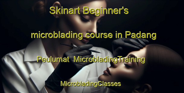 Skinart Beginner's microblading course in Padang Peulumat | MicrobladingTraining | MicrobladingClasses | SkinartTraining-Indonesia