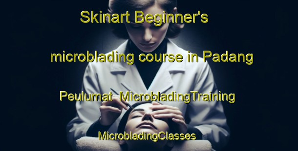 Skinart Beginner's microblading course in Padang Peulumat | MicrobladingTraining | MicrobladingClasses | SkinartTraining-Indonesia