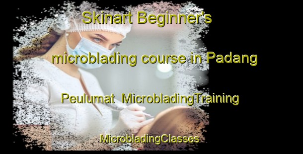 Skinart Beginner's microblading course in Padang Peulumat | MicrobladingTraining | MicrobladingClasses | SkinartTraining-Indonesia
