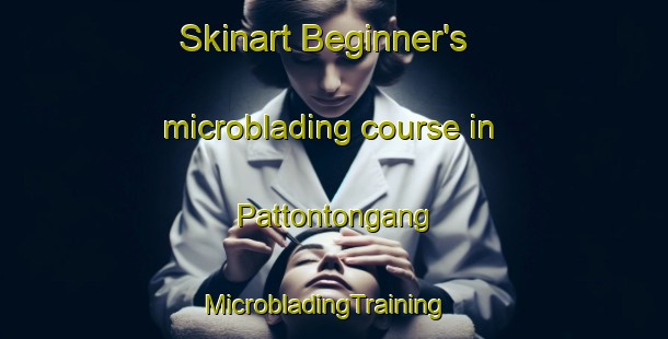 Skinart Beginner's microblading course in Pattontongang | MicrobladingTraining | MicrobladingClasses | SkinartTraining-Indonesia