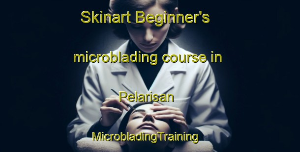 Skinart Beginner's microblading course in Pelarisan | MicrobladingTraining | MicrobladingClasses | SkinartTraining-Indonesia