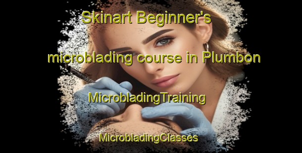 Skinart Beginner's microblading course in Plumbon | MicrobladingTraining | MicrobladingClasses | SkinartTraining-Indonesia