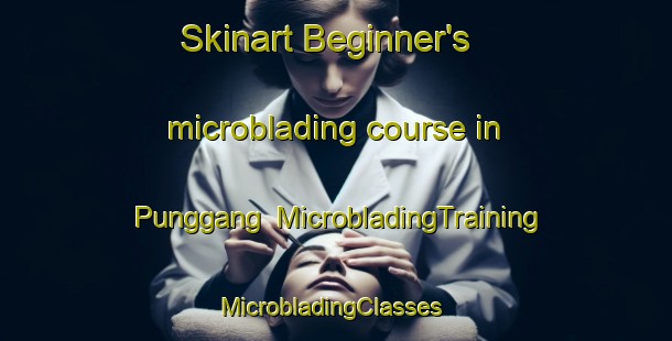 Skinart Beginner's microblading course in Punggang | MicrobladingTraining | MicrobladingClasses | SkinartTraining-Indonesia