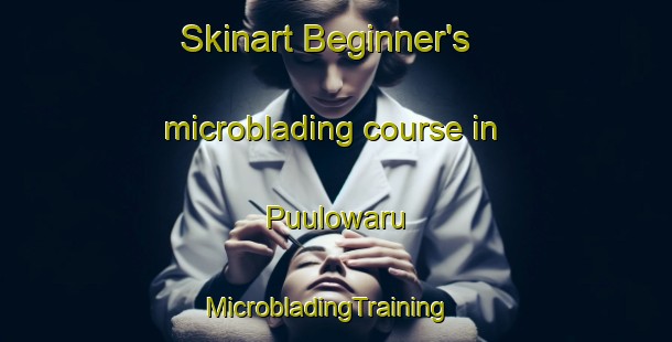 Skinart Beginner's microblading course in Puulowaru | MicrobladingTraining | MicrobladingClasses | SkinartTraining-Indonesia