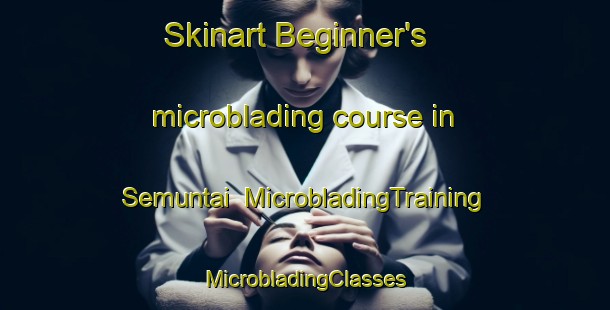 Skinart Beginner's microblading course in Semuntai | #MicrobladingTraining #MicrobladingClasses #SkinartTraining-Indonesia