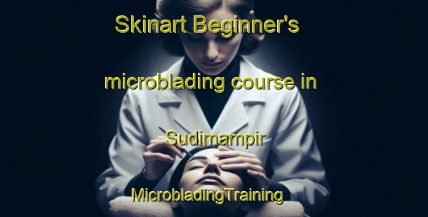 Skinart Beginner's microblading course in Sudimampir | MicrobladingTraining | MicrobladingClasses | SkinartTraining-Indonesia
