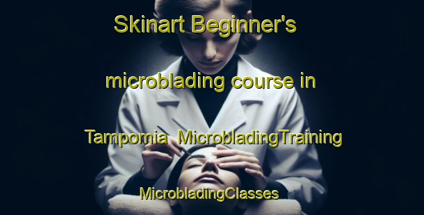 Skinart Beginner's microblading course in Tampomia | MicrobladingTraining | MicrobladingClasses | SkinartTraining-Indonesia