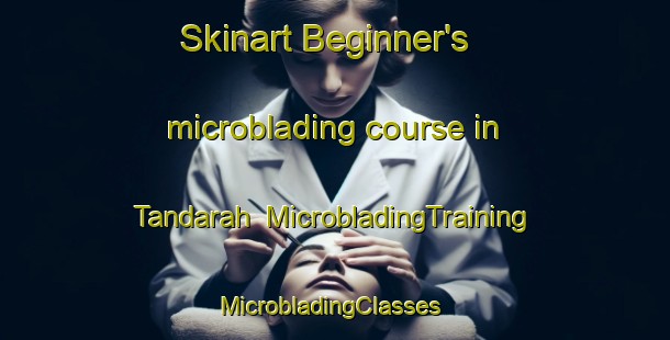Skinart Beginner's microblading course in Tandarah | MicrobladingTraining | MicrobladingClasses | SkinartTraining-Indonesia
