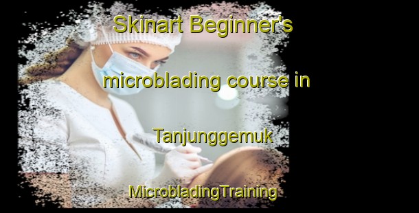 Skinart Beginner's microblading course in Tanjunggemuk | MicrobladingTraining | MicrobladingClasses | SkinartTraining-Indonesia