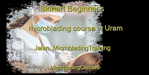 Skinart Beginner's microblading course in Uram Jalan | #MicrobladingTraining #MicrobladingClasses #SkinartTraining-Indonesia