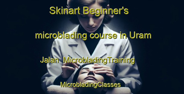 Skinart Beginner's microblading course in Uram Jalan | MicrobladingTraining | MicrobladingClasses | SkinartTraining-Indonesia