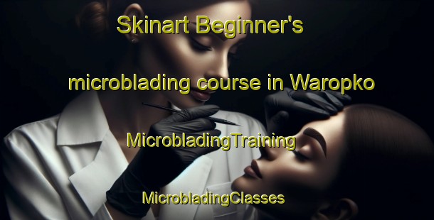 Skinart Beginner's microblading course in Waropko | MicrobladingTraining | MicrobladingClasses | SkinartTraining-Indonesia