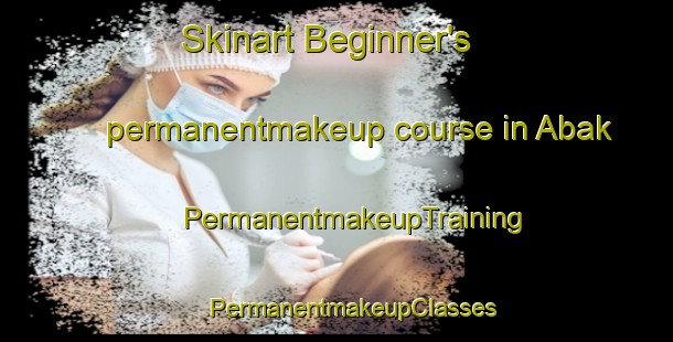 Skinart Beginner's permanentmakeup course in Abak | #PermanentmakeupTraining #PermanentmakeupClasses #SkinartTraining-Indonesia