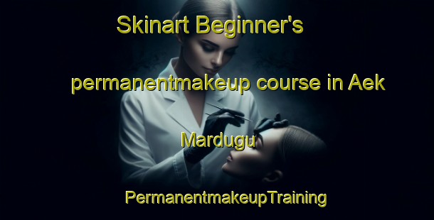 Skinart Beginner's permanentmakeup course in Aek Mardugu | #PermanentmakeupTraining #PermanentmakeupClasses #SkinartTraining-Indonesia