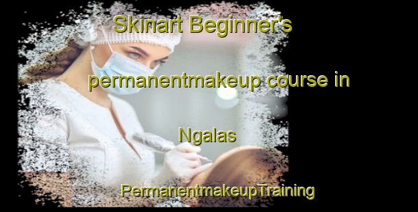 Skinart Beginner's permanentmakeup course in Ngalas | #PermanentmakeupTraining #PermanentmakeupClasses #SkinartTraining-Indonesia