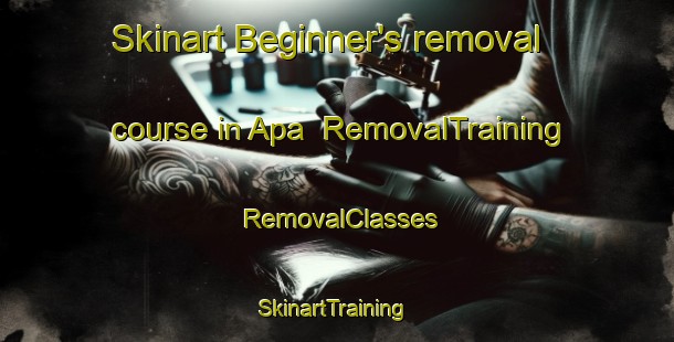 Skinart Beginner's removal course in Apa | RemovalTraining | RemovalClasses | SkinartTraining-Indonesia