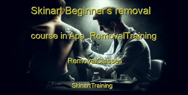 Skinart Beginner's removal course in Apa | RemovalTraining | RemovalClasses | SkinartTraining-Indonesia