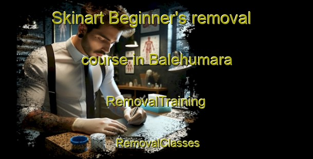 Skinart Beginner's removal course in Balehumara | RemovalTraining | RemovalClasses | SkinartTraining-Indonesia