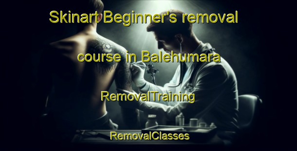 Skinart Beginner's removal course in Balehumara | RemovalTraining | RemovalClasses | SkinartTraining-Indonesia