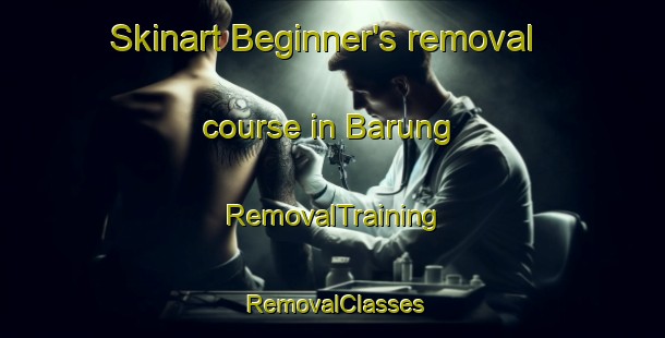 Skinart Beginner's removal course in Barung | RemovalTraining | RemovalClasses | SkinartTraining-Indonesia