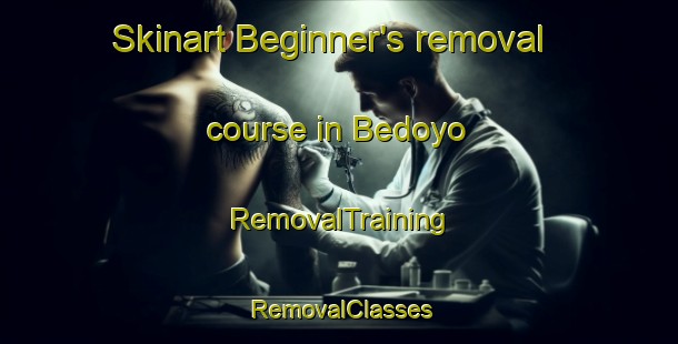 Skinart Beginner's removal course in Bedoyo | RemovalTraining | RemovalClasses | SkinartTraining-Indonesia