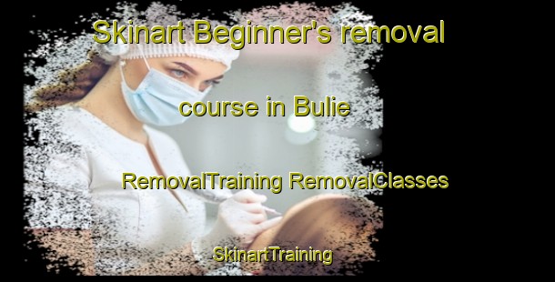 Skinart Beginner's removal course in Bulie | #RemovalTraining #RemovalClasses #SkinartTraining-Indonesia