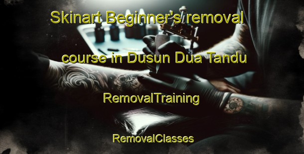 Skinart Beginner's removal course in Dusun Dua Tandu | RemovalTraining | RemovalClasses | SkinartTraining-Indonesia