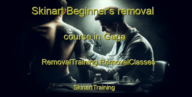 Skinart Beginner's removal course in Gaga | #RemovalTraining #RemovalClasses #SkinartTraining-Indonesia