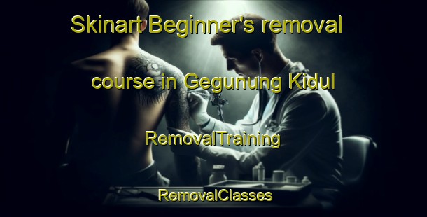 Skinart Beginner's removal course in Gegunung Kidul | RemovalTraining | RemovalClasses | SkinartTraining-Indonesia