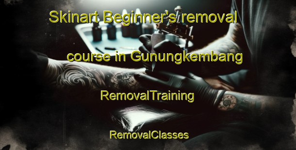 Skinart Beginner's removal course in Gunungkembang | RemovalTraining | RemovalClasses | SkinartTraining-Indonesia