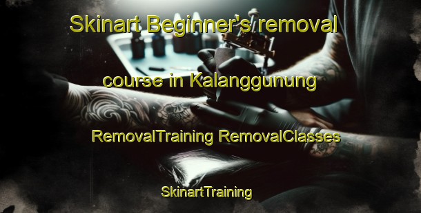 Skinart Beginner's removal course in Kalanggunung | #RemovalTraining #RemovalClasses #SkinartTraining-Indonesia