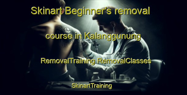 Skinart Beginner's removal course in Kalanggunung | #RemovalTraining #RemovalClasses #SkinartTraining-Indonesia